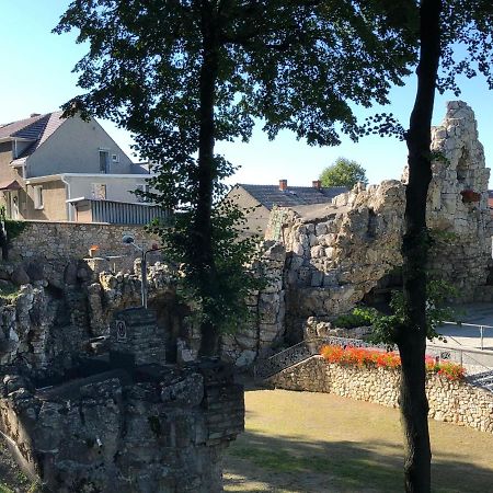 Pensjonat Hanysek Villa Gora Swietej Anny Esterno foto